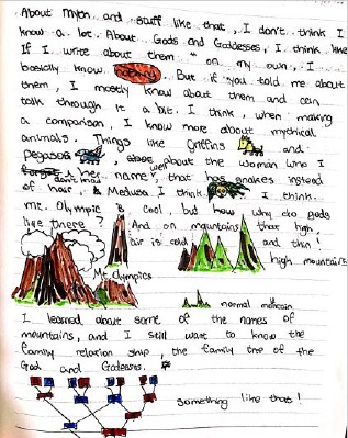 An Enquiry Journal page of notes and questions