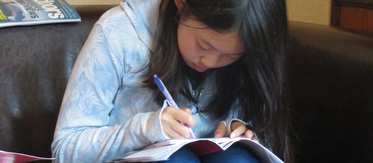 Journaling, YHA Wasdale